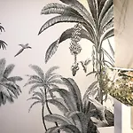 Dina House Avo Mariana