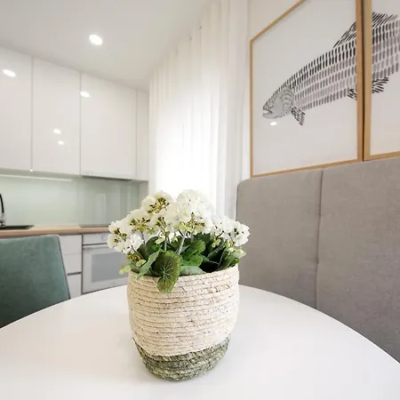 Apartament Dina House Avo Mariana *