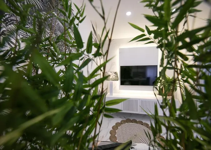 Dina House Avo Mariana Nazaré